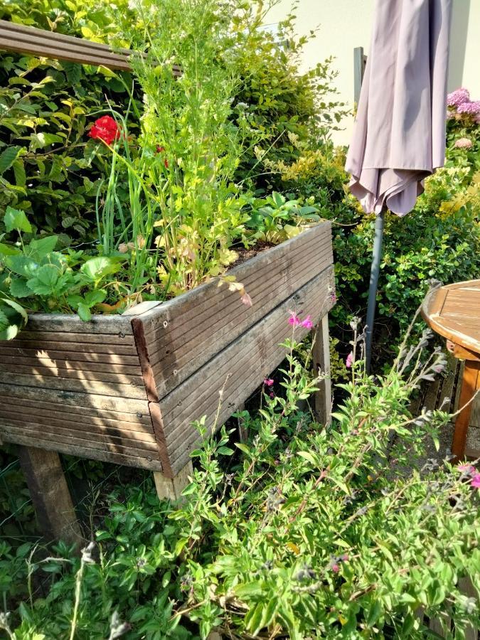 Mer A Pied Vrai Lit Linge Fourni Jardin Brétignolles-sur-Mer المظهر الخارجي الصورة